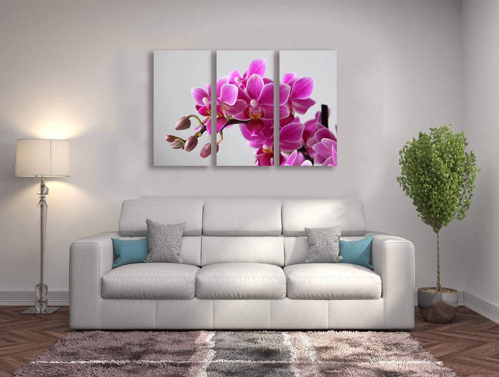 Framed 3 Panels - Orchid