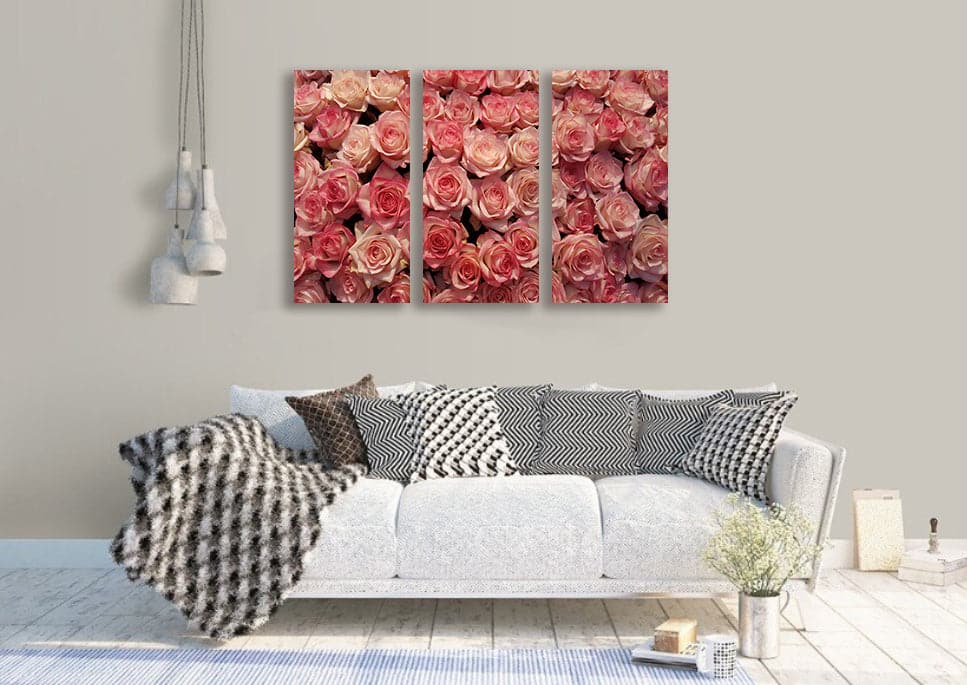 Framed 3 Panels - Roses