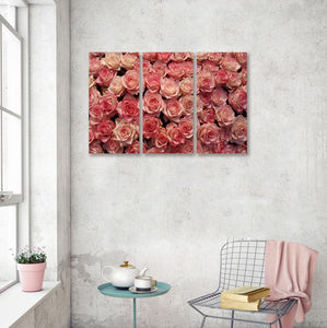 Framed 3 Panels - Roses