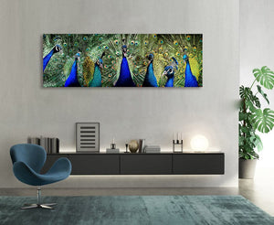 Framed 1 Panel - Peacocks