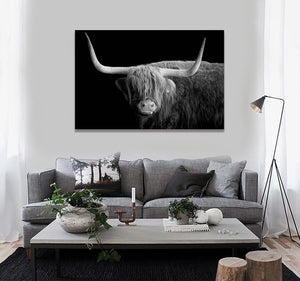 Framed 1 Panel - Highlander Cow