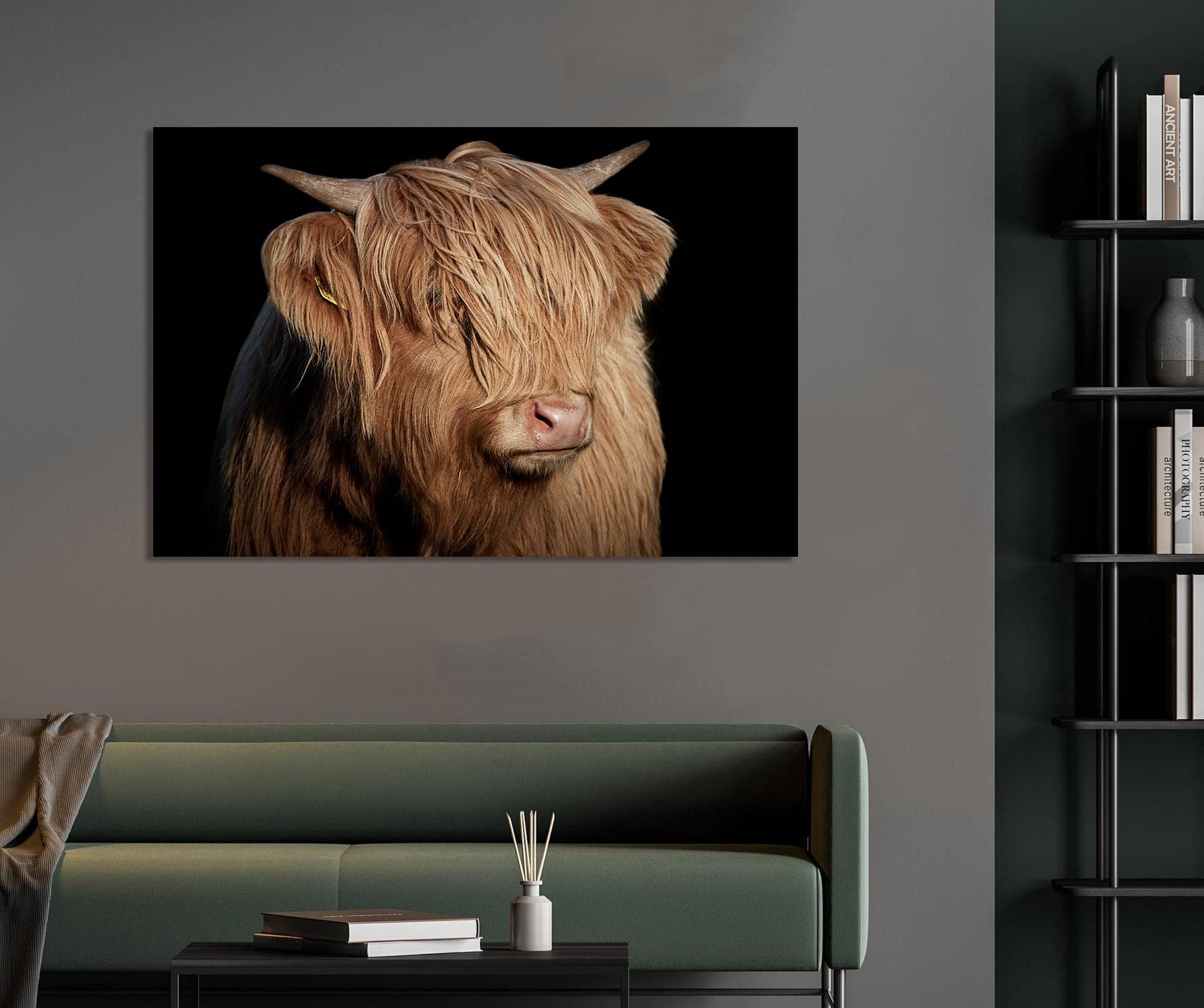 Framed 1 Panel - Highlander Cow