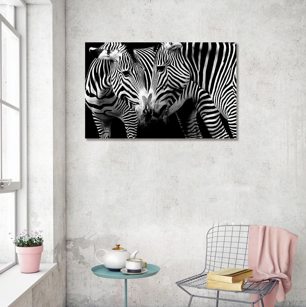 Framed 1 Panel - Zebras in love