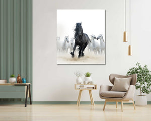 Framed 1 Panel - Black Stallion and White Horses