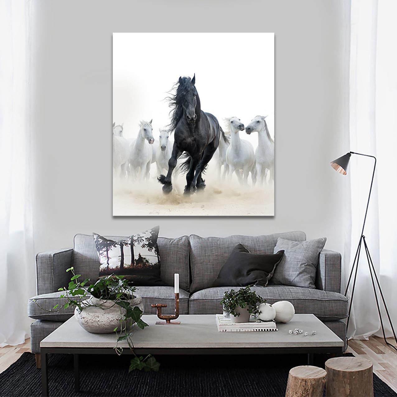 Framed 1 Panel - Black Stallion and White Horses