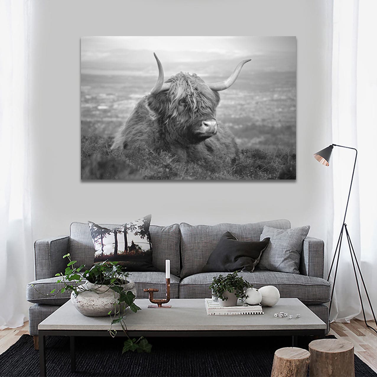 Framed 1 Panel - Highland Cow