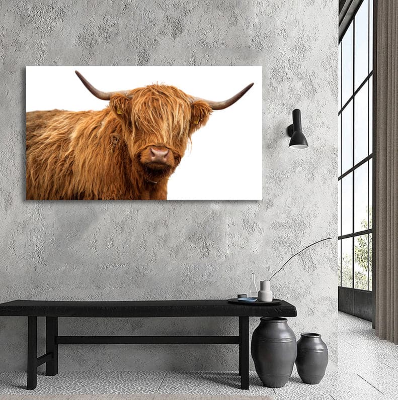 Framed 1 Panel - Highland Cow – Love Print & Free shipping NZ