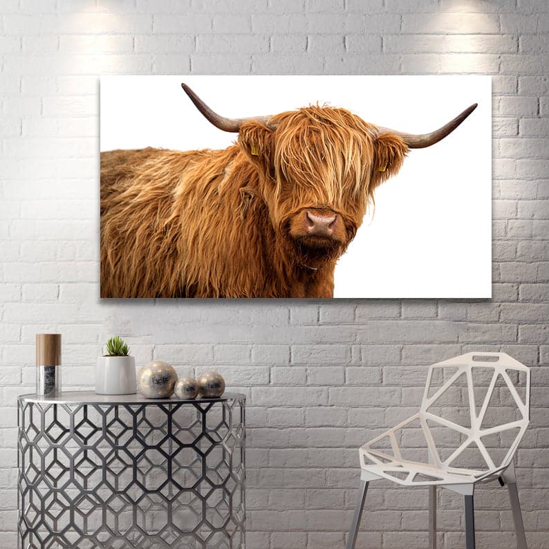 Framed 1 Panel - Highland Cow