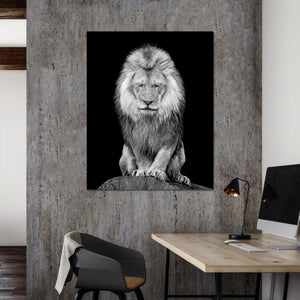 Framed 1 Panel - Lion