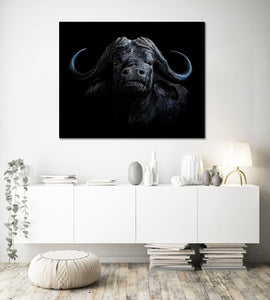 Framed 1 Panel - Buffalo