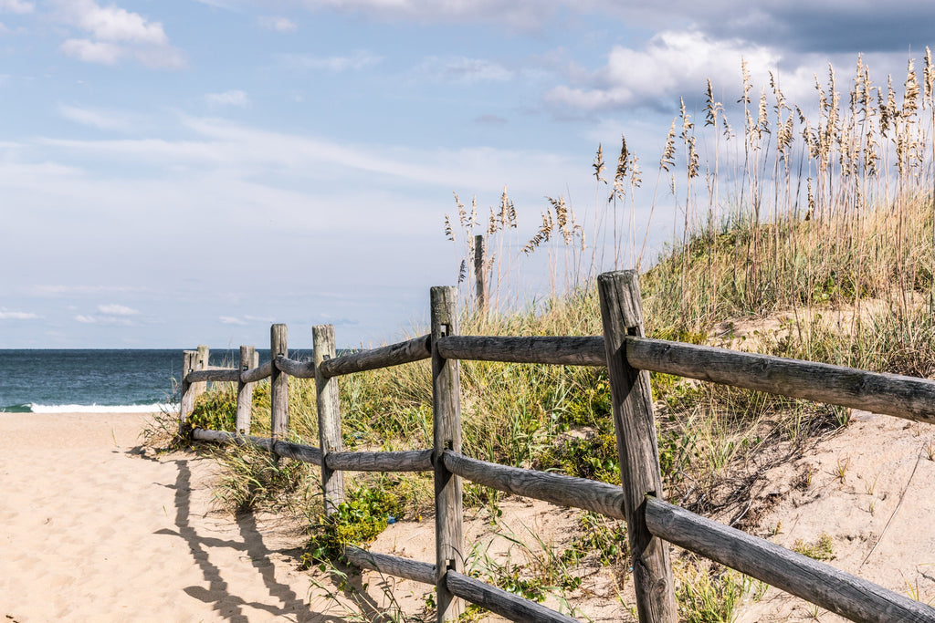 Framed 1 Panel - Wooden Fence on Sandy Pathway to Beach at Sandbridge