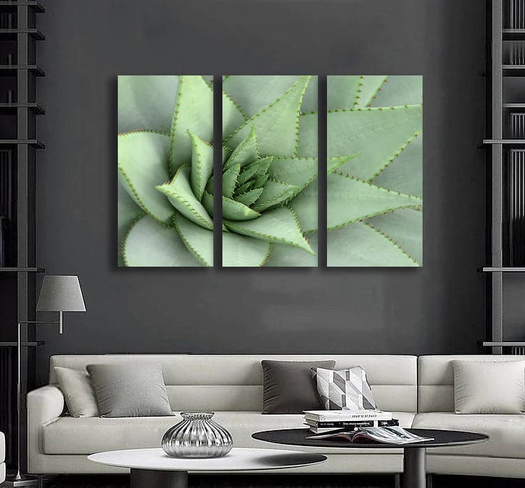 Framed 3 Panels  - Succulents