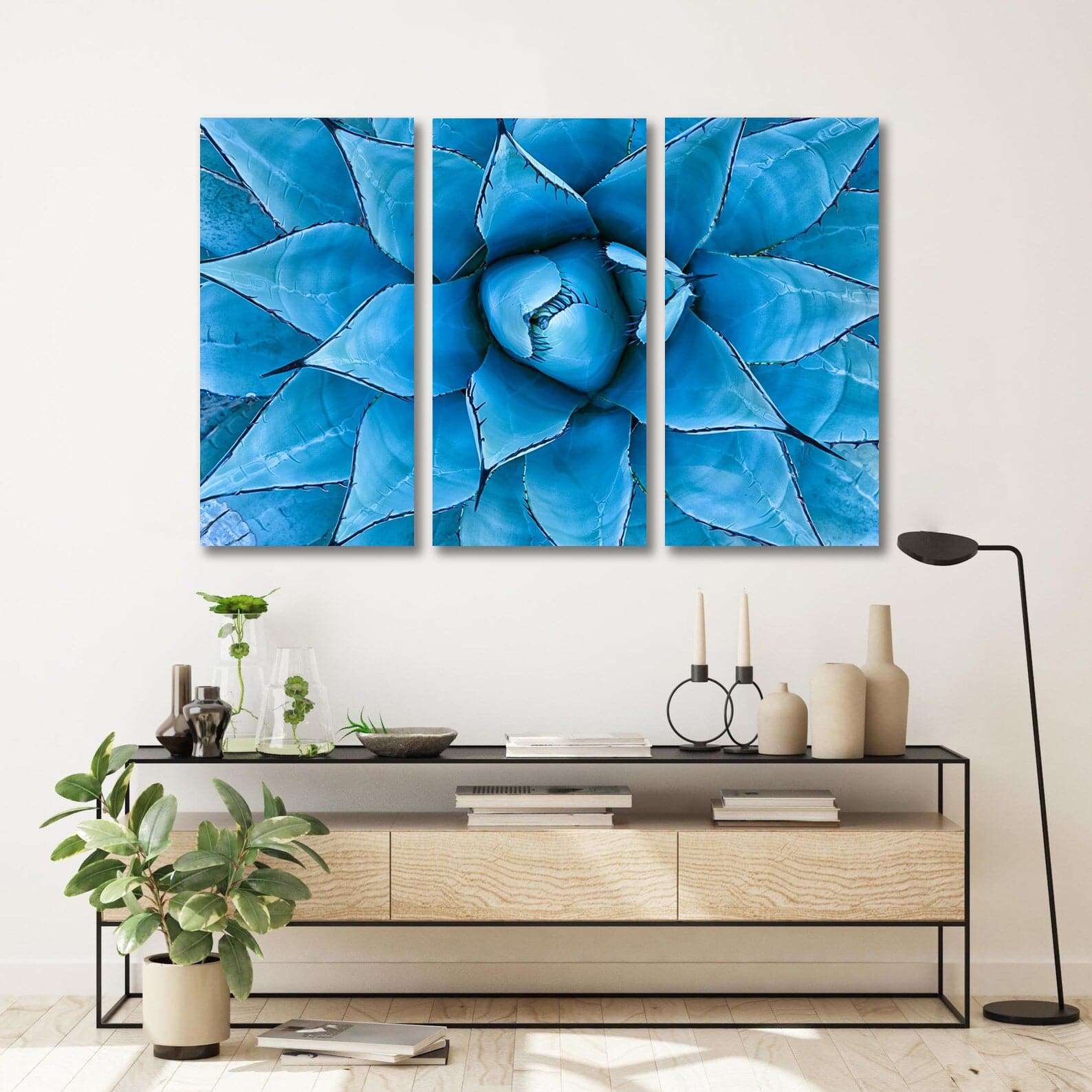 Framed 3 Panels  - Blue Agave Plant