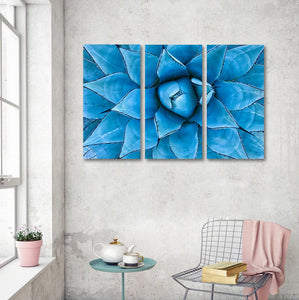 Framed 3 Panels  - Blue Agave Plant