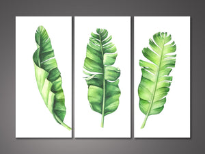 Framed 3 Panels  - Tropical Banana Leaves Set