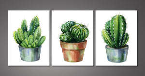 Framed 3 Panels - Cactus