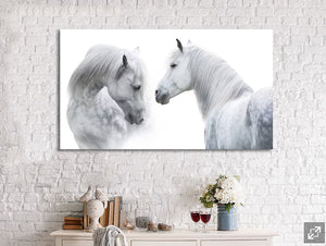 Framed 1 Panel - White Horses