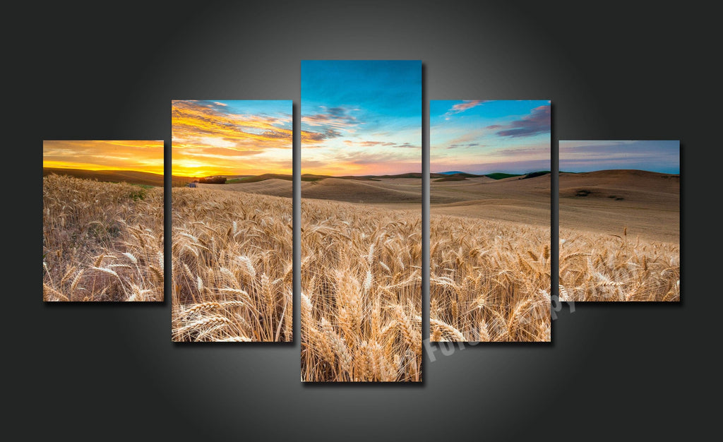 Framed 5 Panels - Wheat Field