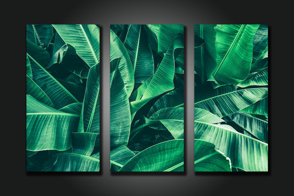 Framed 3 Panels - Banana Leaf