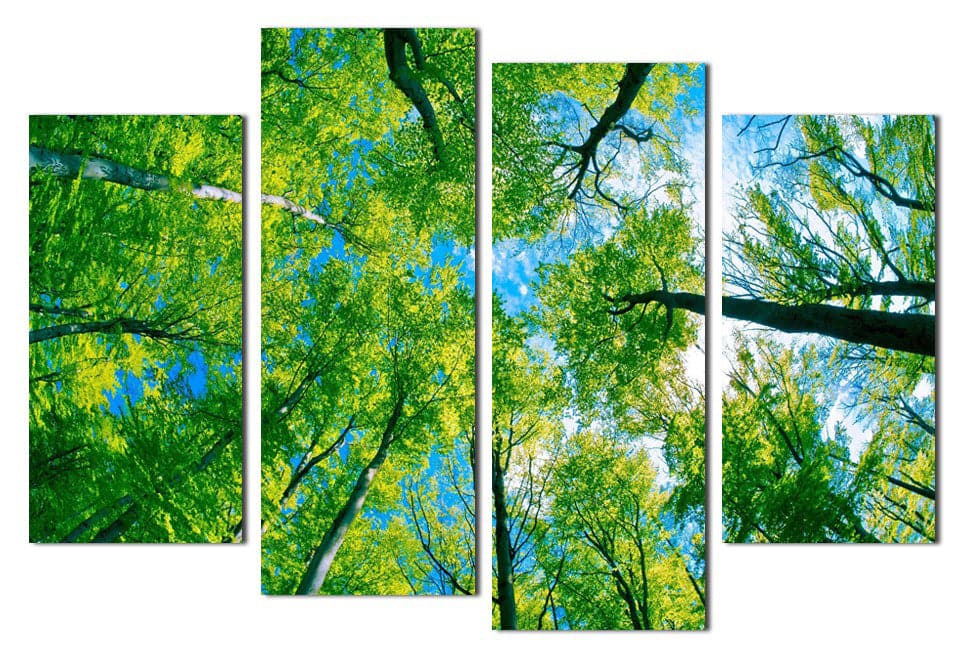 Framed 4 Panels - Tree