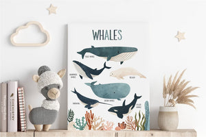 Framed 1 Panel  - Kids Room - Whales