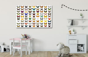 Framed 1 Panel  - Kids Room - Butterflies