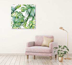 Framed 1 Panel - Monstera deliciosa