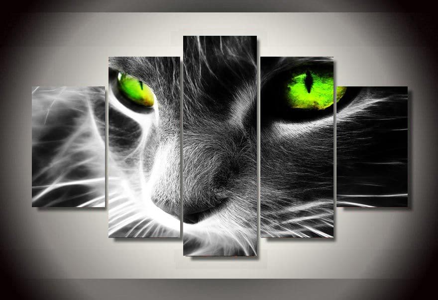 Framed 5 Panels - Cat