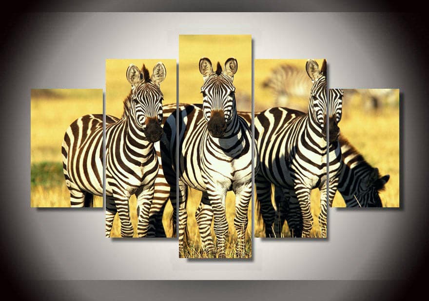 Framed 5 Panels - Zebras