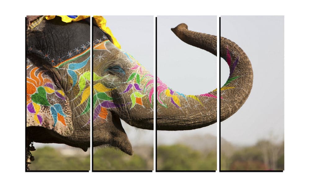 Framed 4 Panels - Elephant