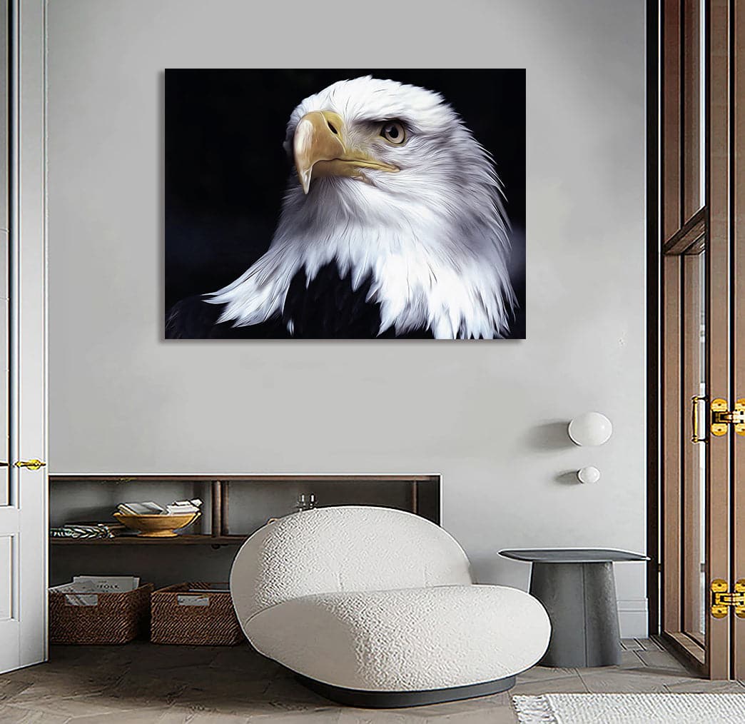 Framed 1 Panel - Eagle