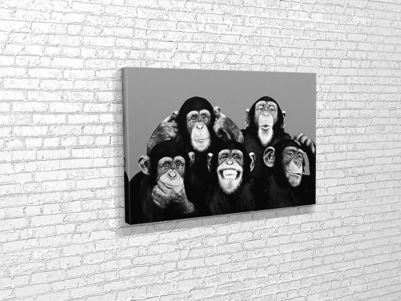 Framed 1 Panel - Happy Monkey