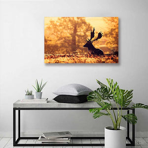 Framed 1 Panel - Deer