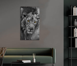 Framed 1 Panel - Lion