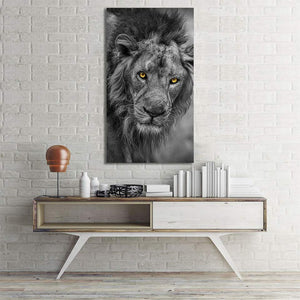 Framed 1 Panel - Lion