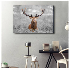 Framed 1 Panel - Deer