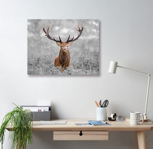 Framed 1 Panel - Deer