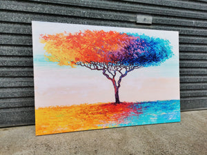 Framed 1 Panel - Rainbow Tree